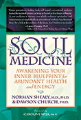 Soul Medicine Book